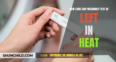 The Impact of Heat on the Accuracy of Pregnancy Tests: How Long Can They Be Left?
