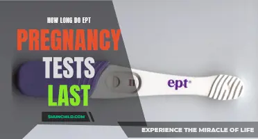 The Lifespan of EPT Pregnancy Tests: How Long Do They Last?