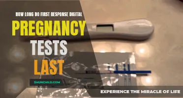 The Lifespan of First Response Digital Pregnancy Tests: What You Need to Know
