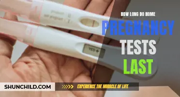 The Lifespan of Home Pregnancy Tests: What You Need to Know
