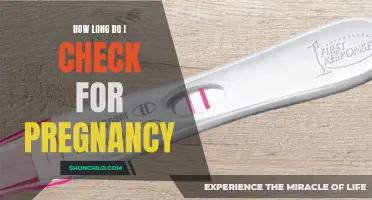 The Time Frame: How Long Should You Wait to Check for Pregnancy?