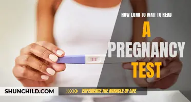 The Waiting Game: When is the Best Time to Read a Pregnancy Test?