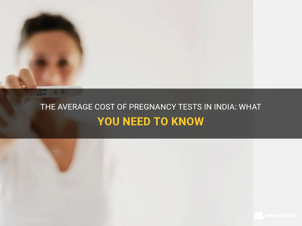 how much a pregnancy test cost in india