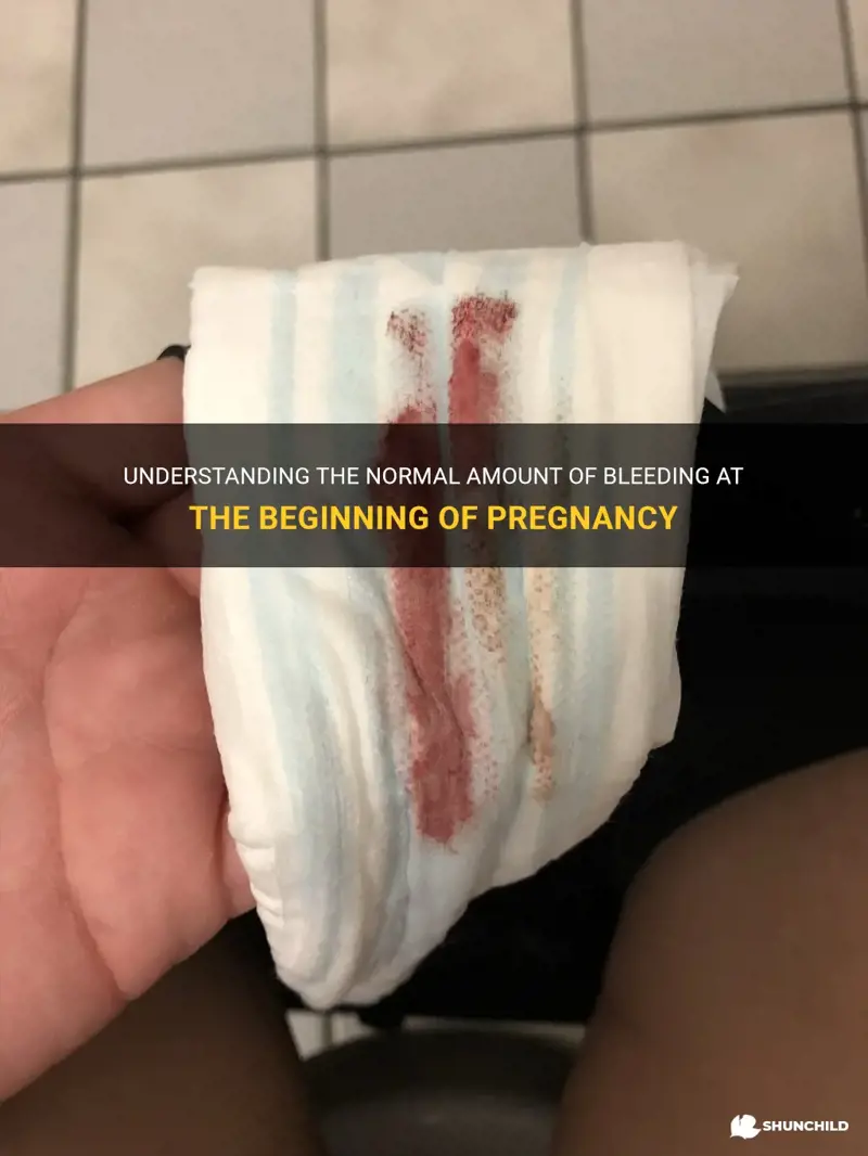 how much bleeding is normal at beginning of pregnancy