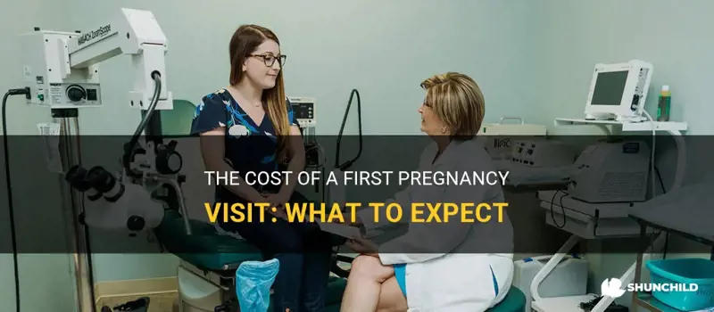 how much is a first pregnancy visit