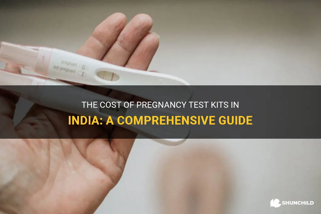 how much pregnancy test kit cost in india