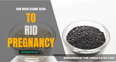 The Surprising Benefits of Sesame Seeds in Pregnancy and How They Can Help You