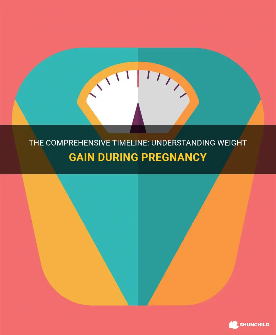 how much weight gain during pregnancy timeline
