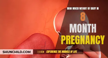 The Weight of Your Baby at 8 Months into Pregnancy: What to Expect