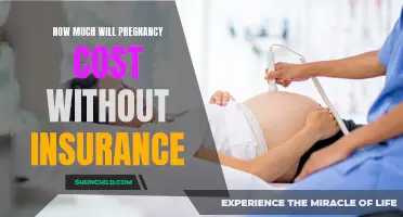 The Cost of Pregnancy Without Insurance: How Much Should You Expect?