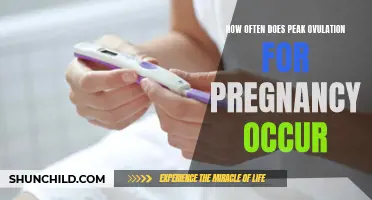 Understanding the Timing of Peak Ovulation for Pregnancy: Key Factors to Consider