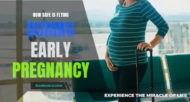 Pregnant Pause: Navigating Air Travel in Early Pregnancy