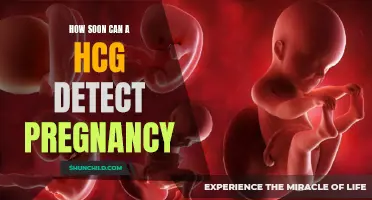 How Quickly Can a Pregnancy Be Detected with a HCG Test?