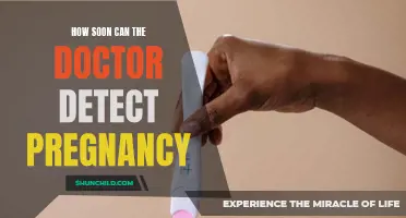 When Can a Doctor Detect Pregnancy?