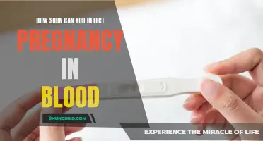 Detecting Pregnancy: How Soon can it be Detected in Blood?