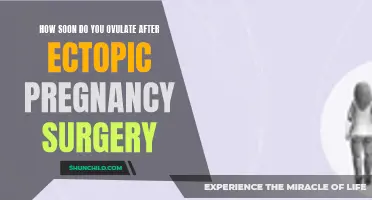 Understanding the Ovulation Timeline after Ectopic Pregnancy Surgery