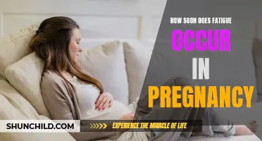 Understanding the Onset of Fatigue During Pregnancy
