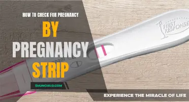 Understanding Pregnancy Tests: How to Check for Pregnancy Using a Pregnancy Strip