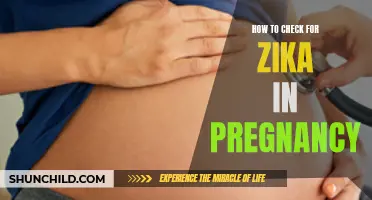 Detecting Zika Virus in Pregnancy: A Comprehensive Guide
