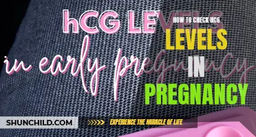 A Comprehensive Guide on Checking HCG Levels in Pregnancy