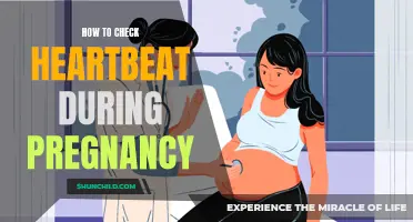 Checking the Heartbeat of Your Baby During Pregnancy: A Step-by-Step Guide