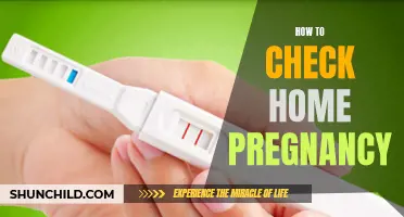 A Comprehensive Guide on How to Check for Pregnancy at Home
