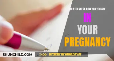 Tips to Determine Your Pregnancy Milestone