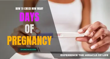 Keeping Track: A Guide to Checking the Duration of Your Pregnancy
