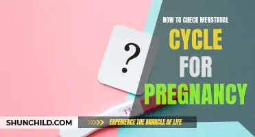 The Essential Guide to Checking your Menstrual Cycle for Pregnancy