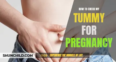 Ways to Check Your Tummy for Pregnancy Signs