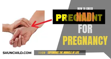How to Properly Check Your Nadi for Pregnancy