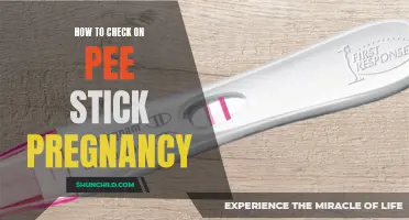 The Complete Guide to Checking Pregnancy on a Pee Stick