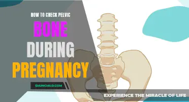 Checking the Pelvic Bone During Pregnancy: A Comprehensive Guide