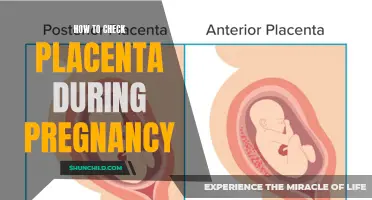 Understanding the Importance of Checking the Placenta During Pregnancy