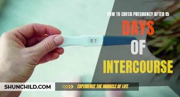 Determining Pregnancy: What You Need to Know After 15 Days of Intercourse
