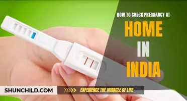 The Complete Guide to Checking for Pregnancy at Home in India