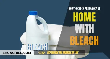 Checking for Pregnancy at Home with Bleach: A DIY Method