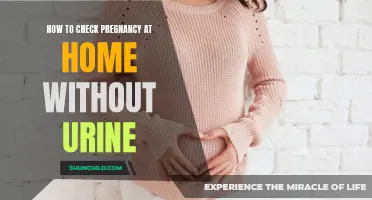 Effective Ways to Check for Pregnancy at Home Without a Urine Test