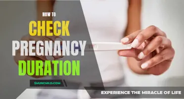 Understanding Pregnancy Duration: A Guide for Expectant Mothers