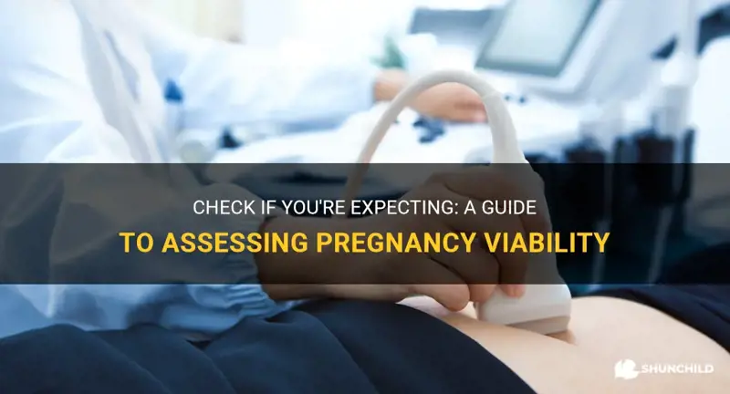 how to check viability of pregnancy