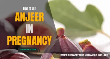 The Benefits of Incorporating Anjeer into Your Pregnancy Diet