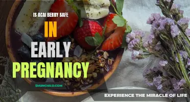 Pregnancy and the Power of Acai Berries: Exploring Their Safety and Benefits