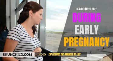 Air Travel and Early Pregnancy: Understanding the Safety Concerns