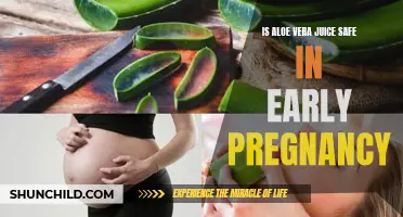 Aloe Vera Juice and Pregnancy: Exploring the Safety and Benefits for Expectant Mothers