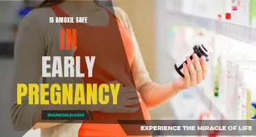 Amoxil Use During Early Pregnancy: Understanding the Safety Profile