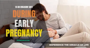 Orgasm During Early Pregnancy: Exploring the Safety and Benefits