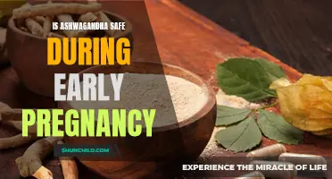 Ashwagandha and Early Pregnancy: Exploring the Safety Concerns