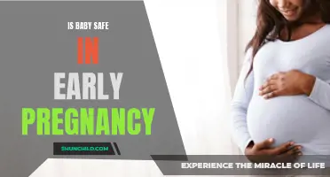 Pregnancy Peace of Mind: Understanding Baby's Safety in the Early Stages