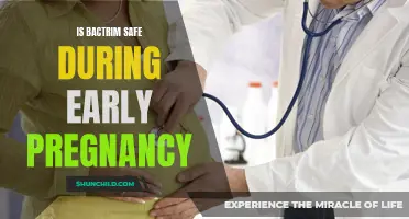 Bactrim and Early Pregnancy: Understanding the Safety Concerns