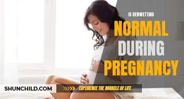 Understanding Bedwetting in Pregnancy: Is It Normal?